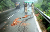 Trucks banned on Mangaluru-Madikeri Road